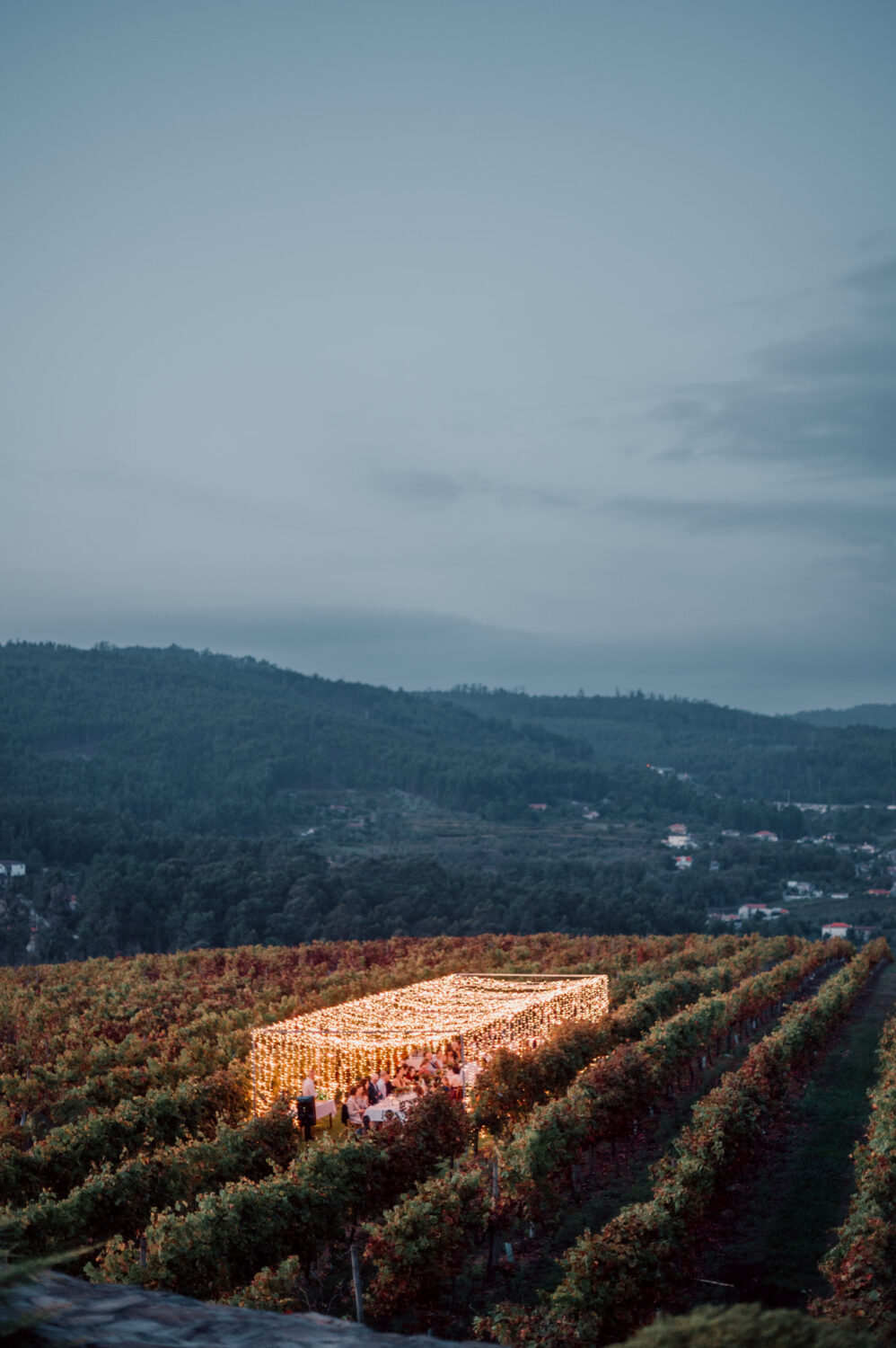 Vineyard reception dinner during an intimate destination wedding in the Douro Valley, Portugal
