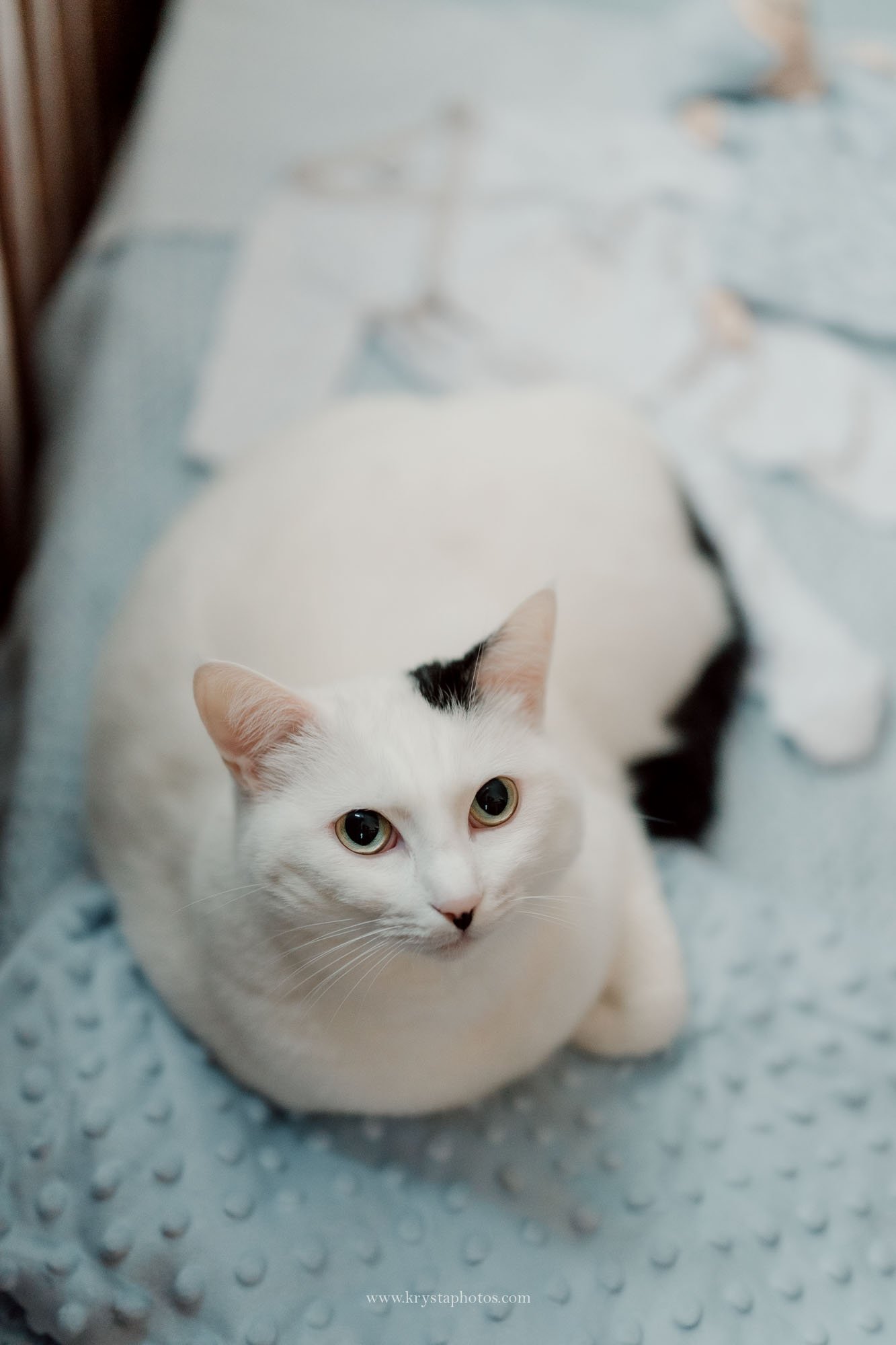 Granddaughter gently touching her grandmother’s pearl necklace during an intimate moment at a Lisbon micro-wedding.