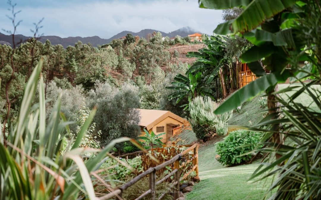 Glamping in Northern Portugal: A Cozy Escape for Couples, Families & Honeymoons