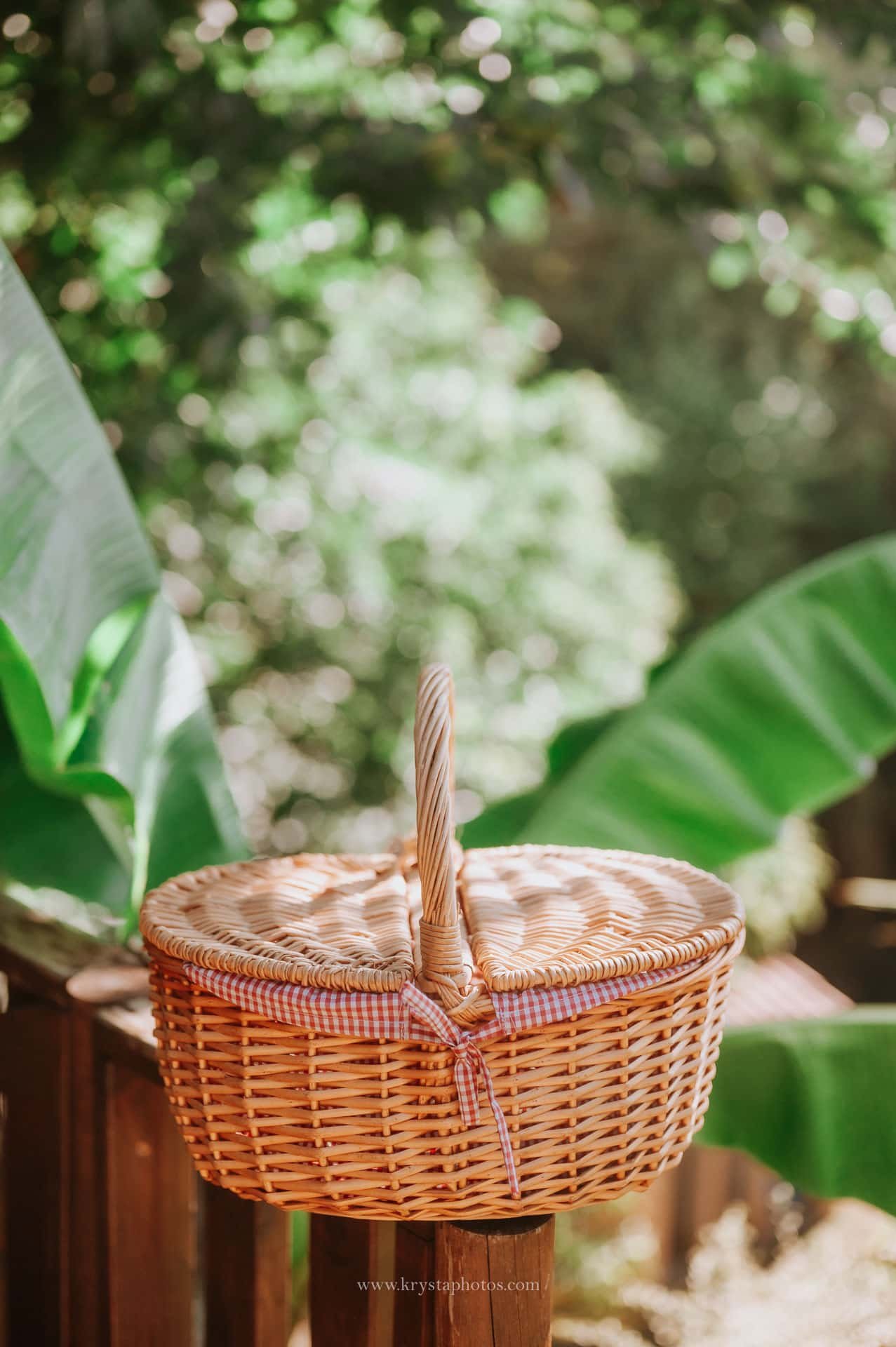 Breakfast basket at Casa Fontelheira in Northern Portugal – honeymoon and slow living retreat.