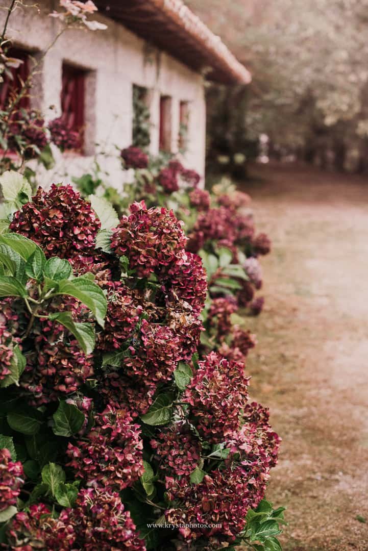 Elegant wedding venue Quinta de Segade in Northern Portugal surrounded by lush greenery